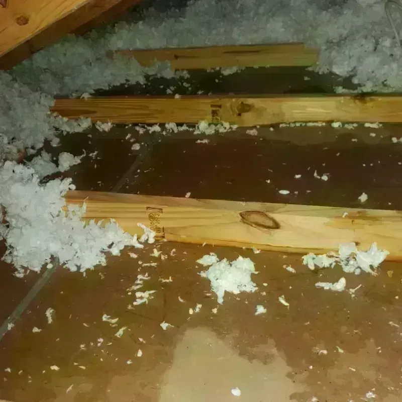 Attic Water Damage in Altus, OK