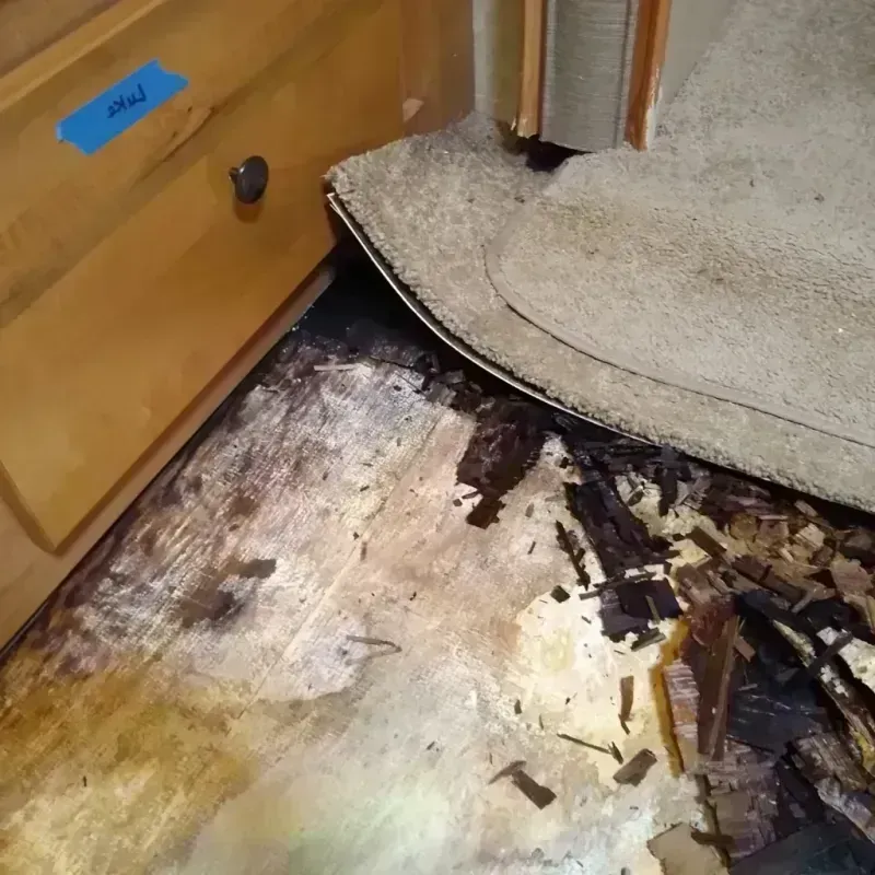 Wood Floor Water Damage in Altus, OK